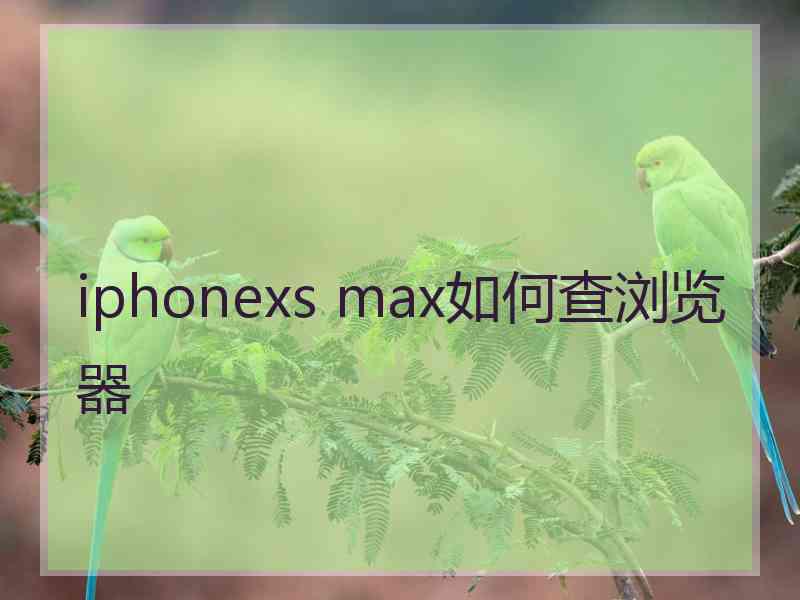 iphonexs max如何查浏览器