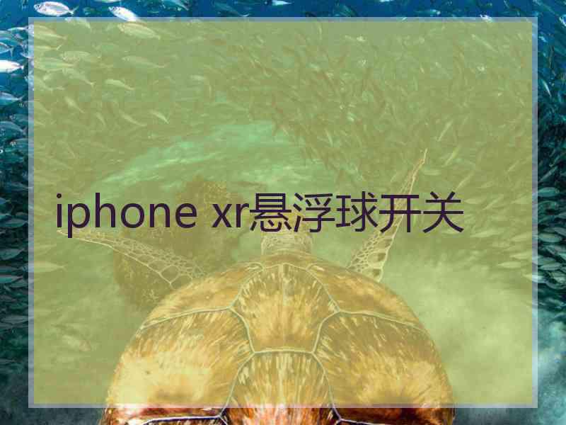 iphone xr悬浮球开关