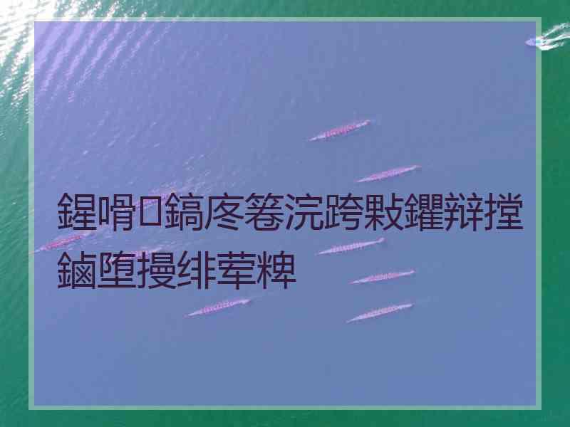 鍟嗗鎬庝箞浣跨敤鑺辩摚鏀堕摱绯荤粺