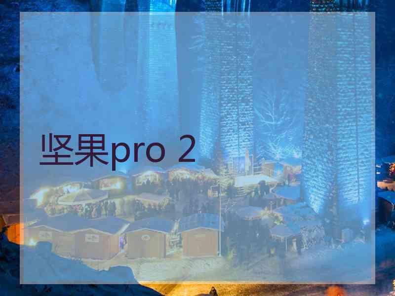 坚果pro 2