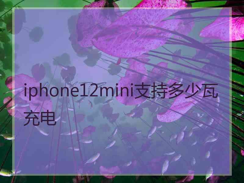 iphone12mini支持多少瓦充电