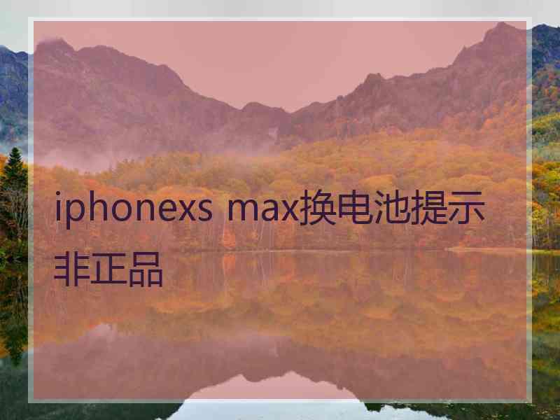 iphonexs max换电池提示非正品