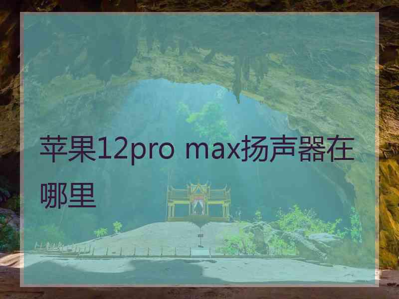 苹果12pro max扬声器在哪里