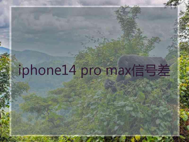 iphone14 pro max信号差