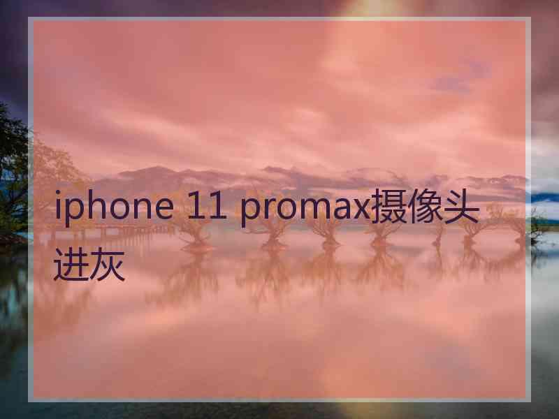 iphone 11 promax摄像头进灰