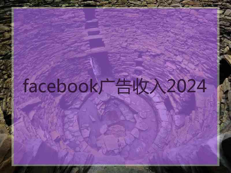 facebook广告收入2024