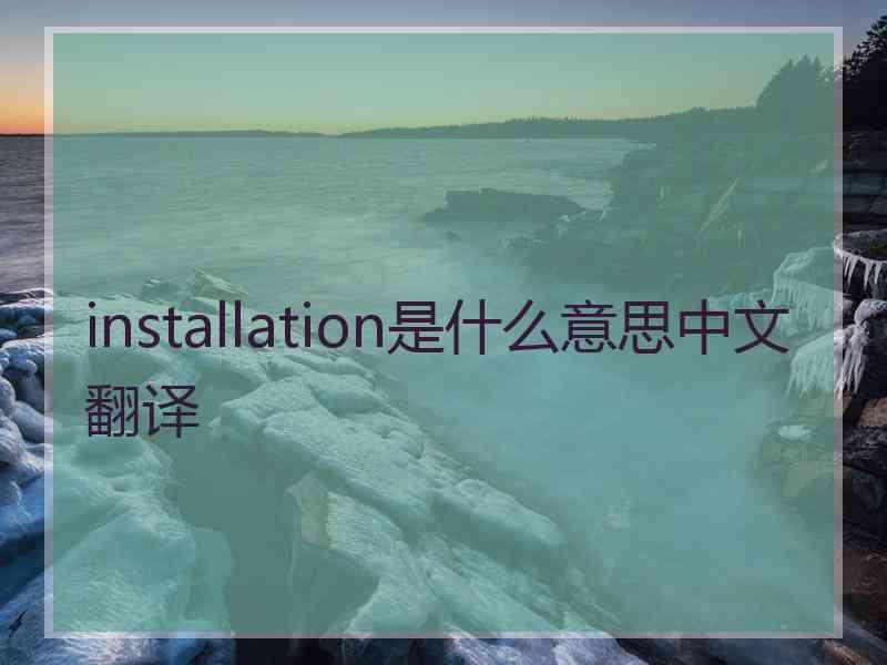 installation是什么意思中文翻译