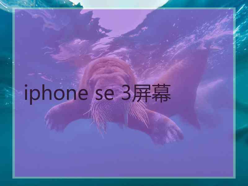 iphone se 3屏幕