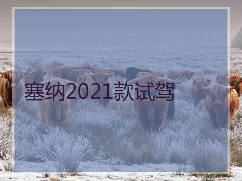 塞纳2021款试驾