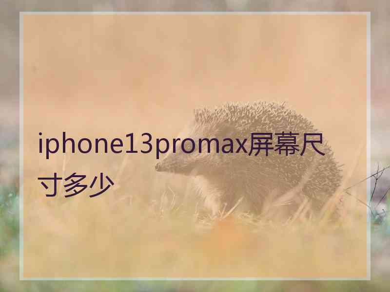 iphone13promax屏幕尺寸多少