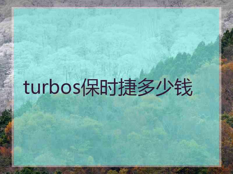 turbos保时捷多少钱