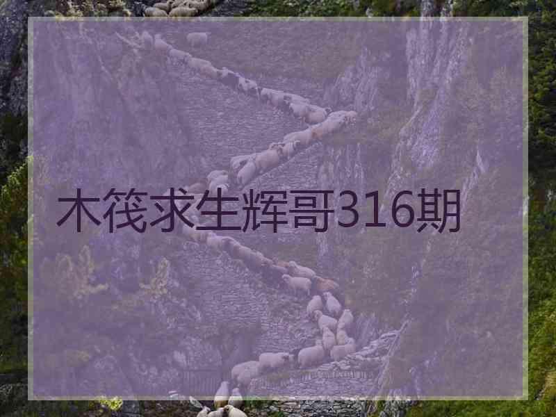 木筏求生辉哥316期