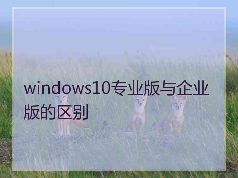 windows10专业版与企业版的区别