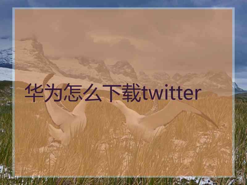 华为怎么下载twitter