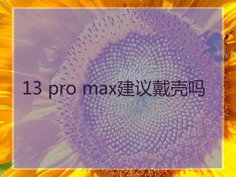 13 pro max建议戴壳吗