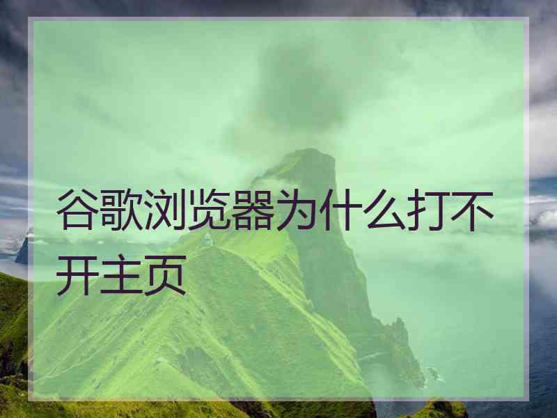 谷歌浏览器为什么打不开主页