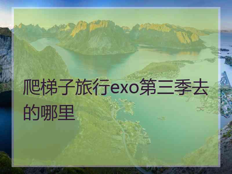 爬梯子旅行exo第三季去的哪里