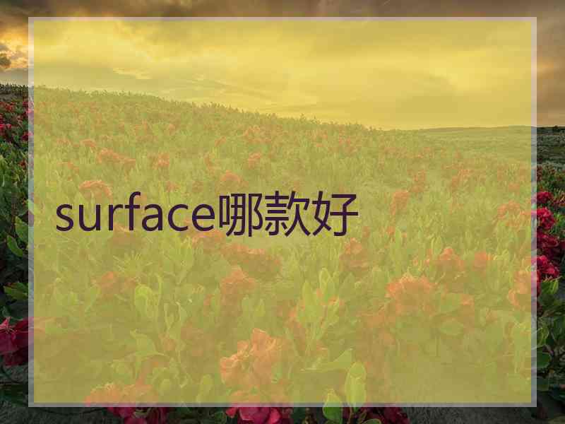 surface哪款好