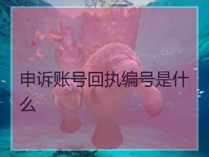 申诉账号回执编号是什么