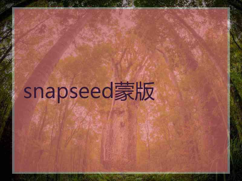 snapseed蒙版