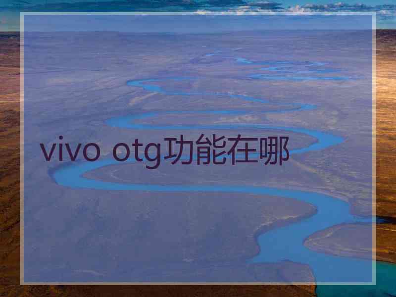 vivo otg功能在哪