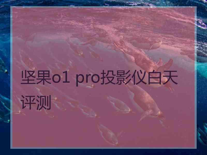 坚果o1 pro投影仪白天评测