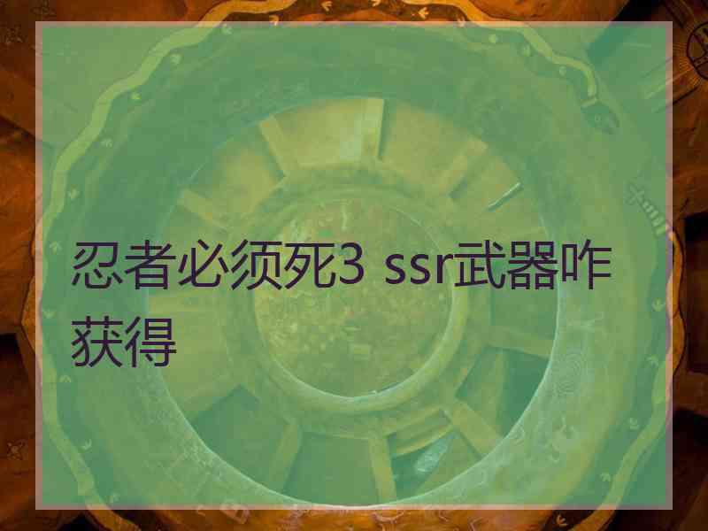 忍者必须死3 ssr武器咋获得