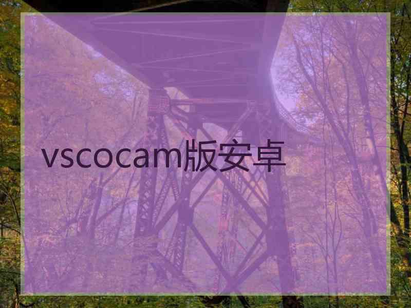 vscocam版安卓