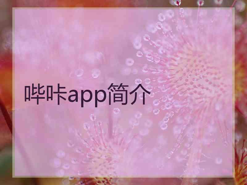 哔咔app简介