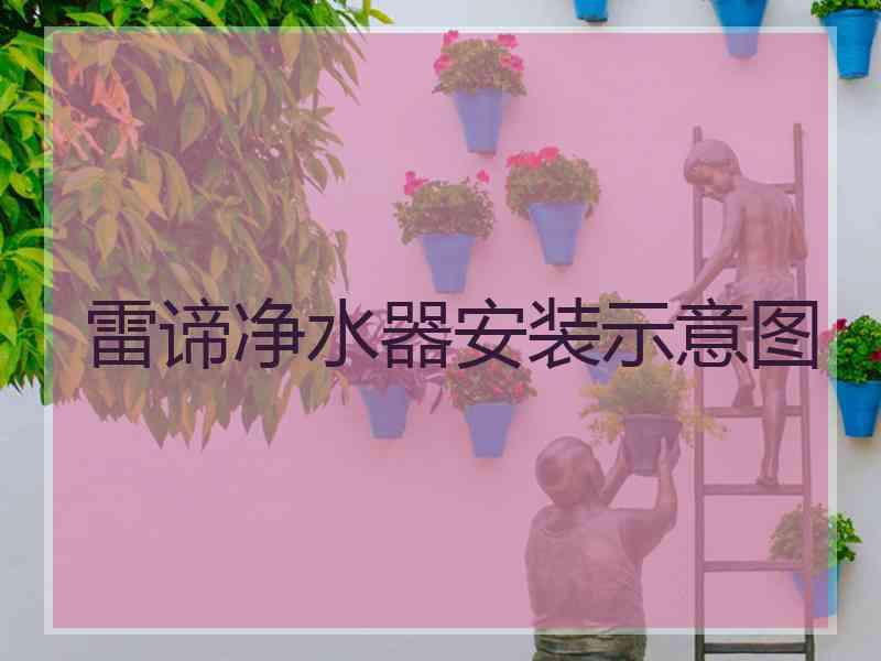 雷谛净水器安装示意图