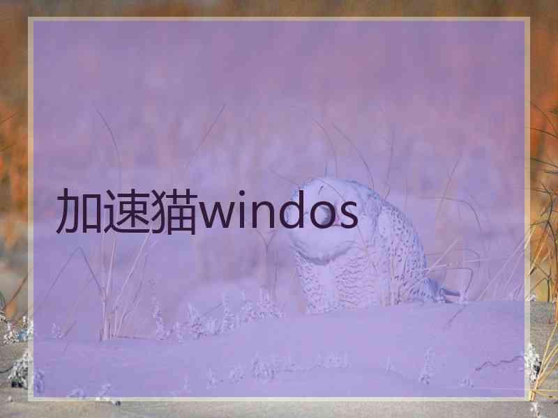 加速猫windos