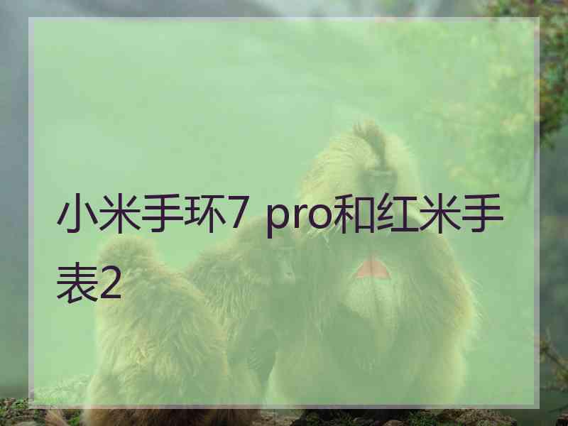 小米手环7 pro和红米手表2