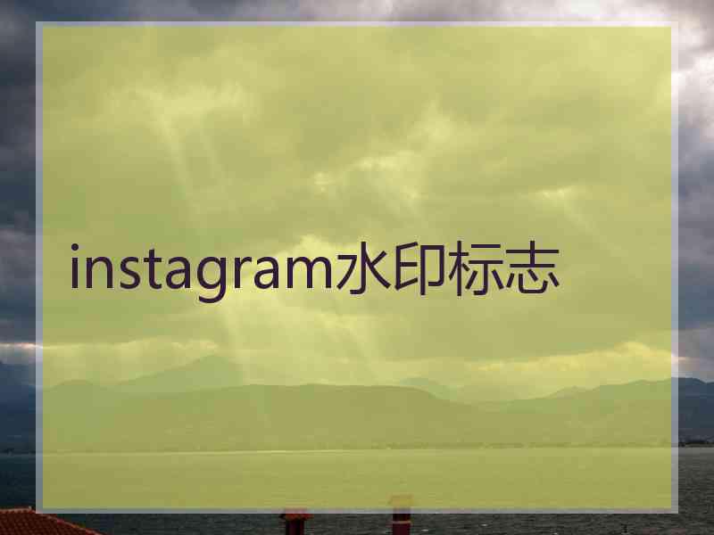 instagram水印标志