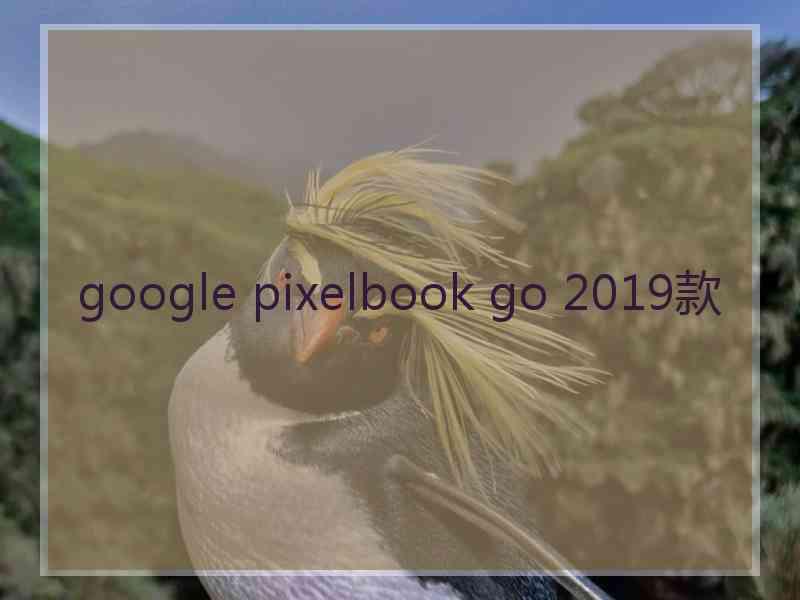 google pixelbook go 2019款