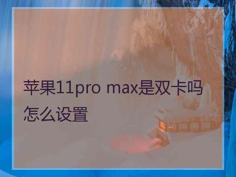 苹果11pro max是双卡吗怎么设置