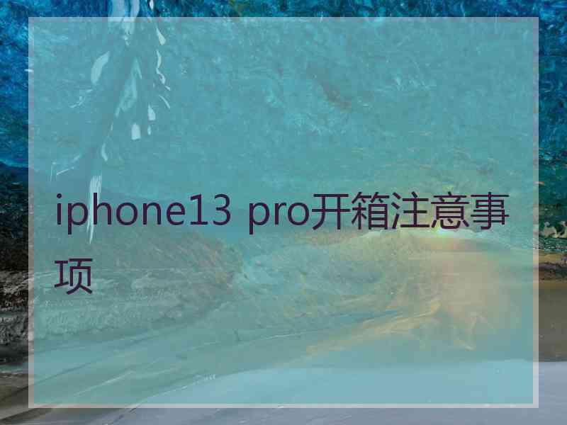 iphone13 pro开箱注意事项