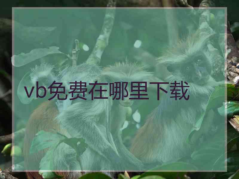 vb免费在哪里下载