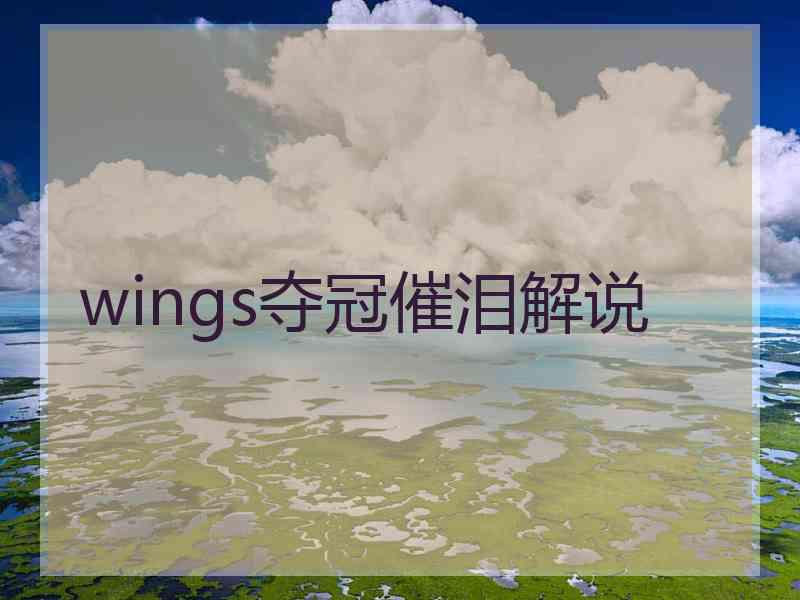 wings夺冠催泪解说