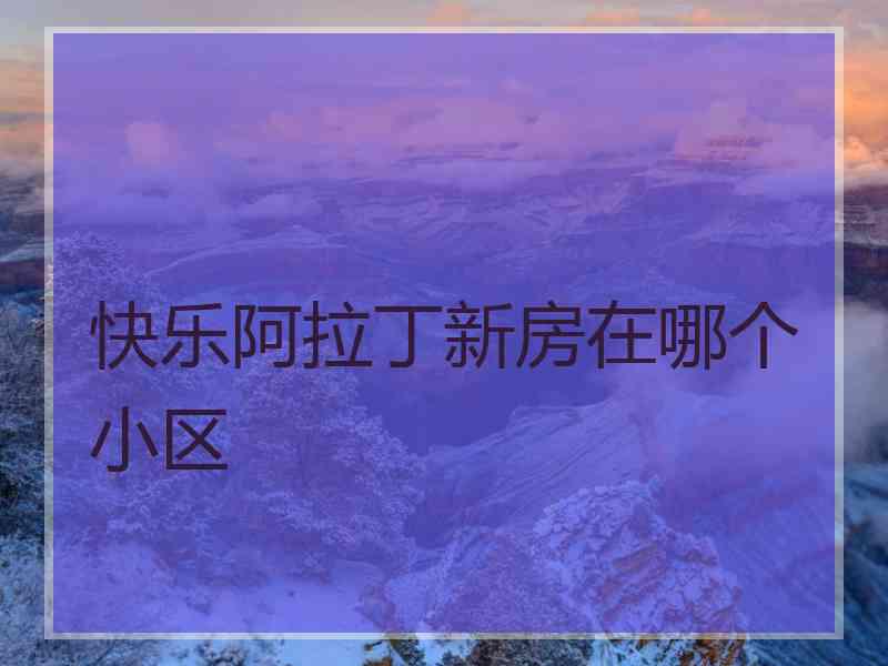 快乐阿拉丁新房在哪个小区