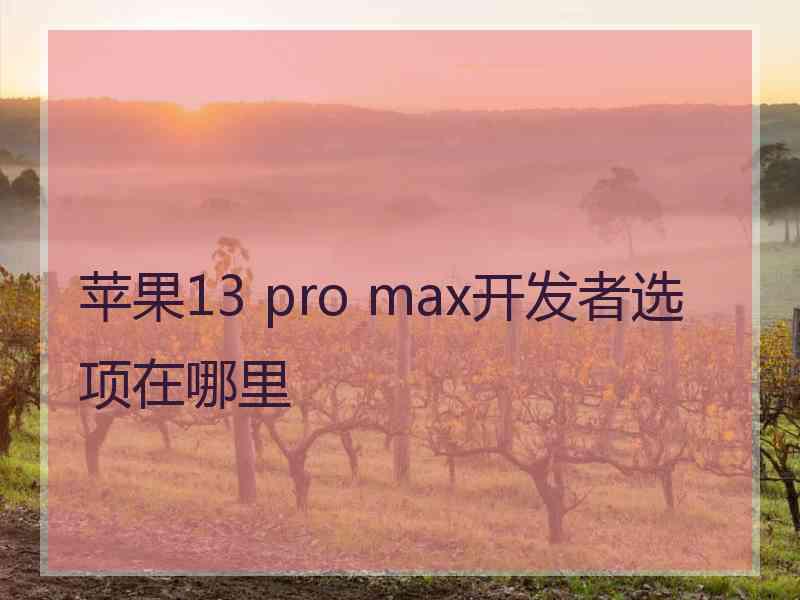 苹果13 pro max开发者选项在哪里