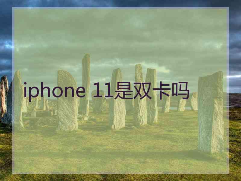 iphone 11是双卡吗