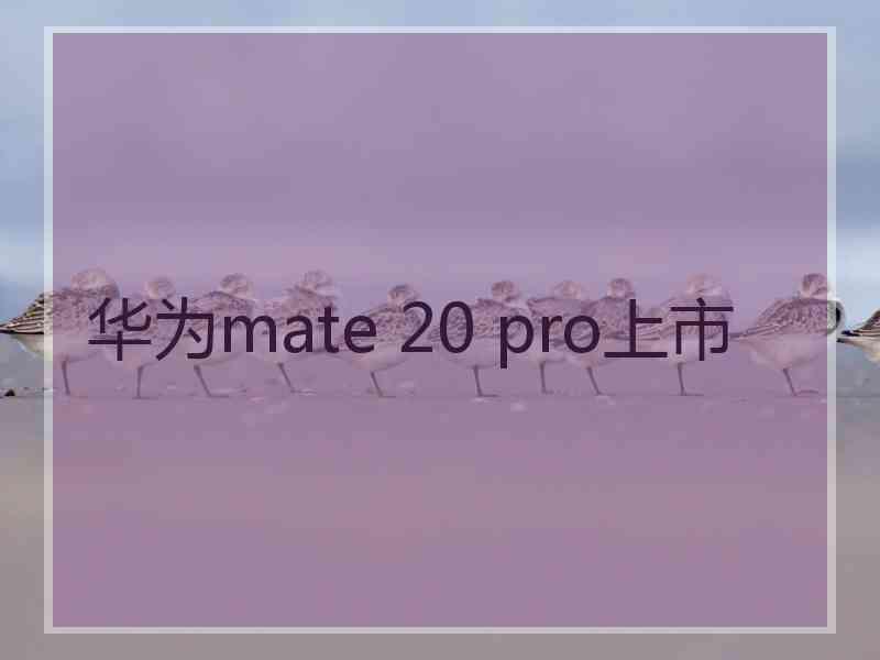 华为mate 20 pro上市