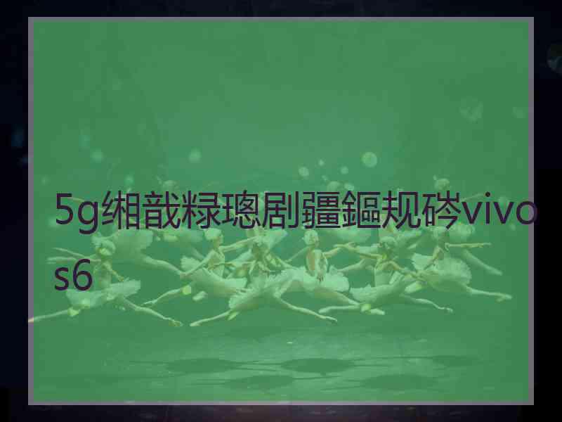 5g缃戠粶璁剧疆鏂规硶vivos6