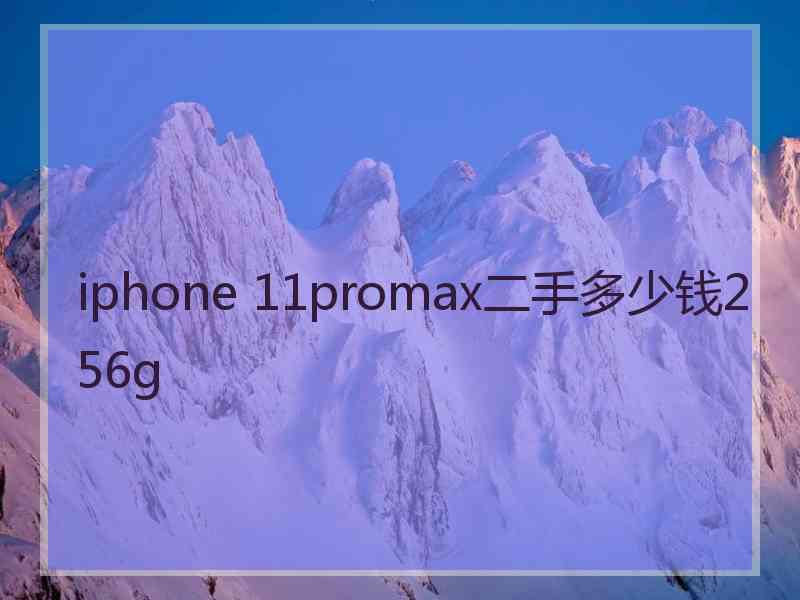 iphone 11promax二手多少钱256g