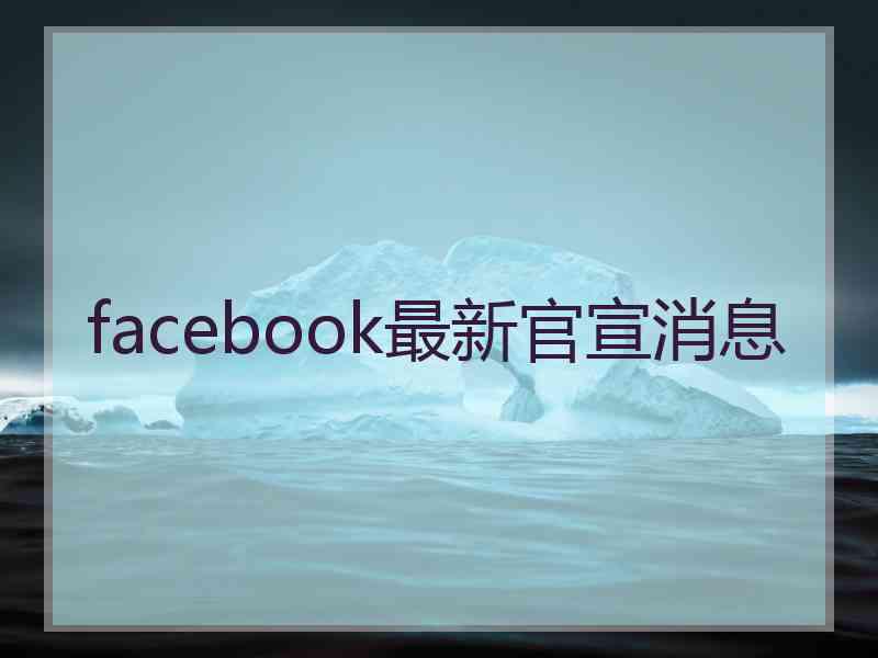 facebook最新官宣消息