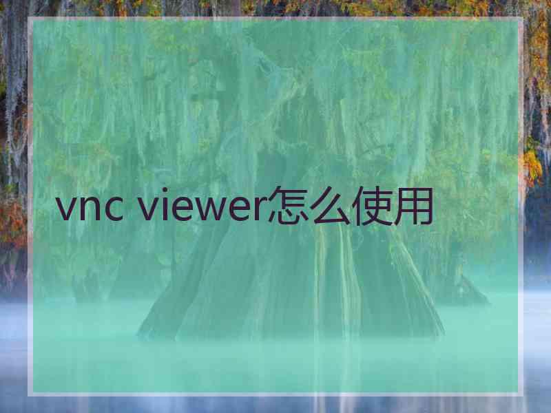 vnc viewer怎么使用