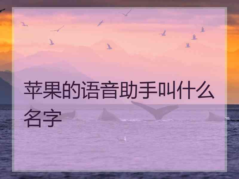 苹果的语音助手叫什么名字