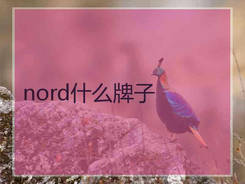 nord什么牌子