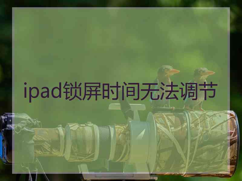 ipad锁屏时间无法调节