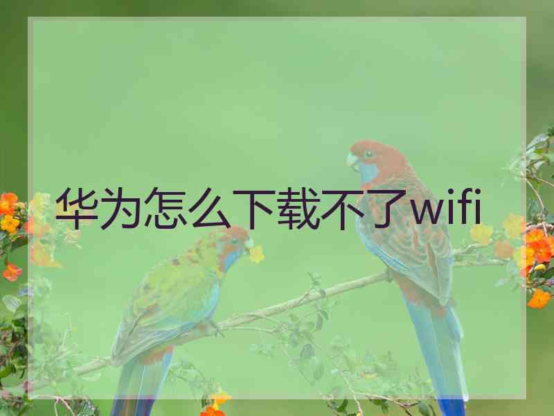 华为怎么下载不了wifi